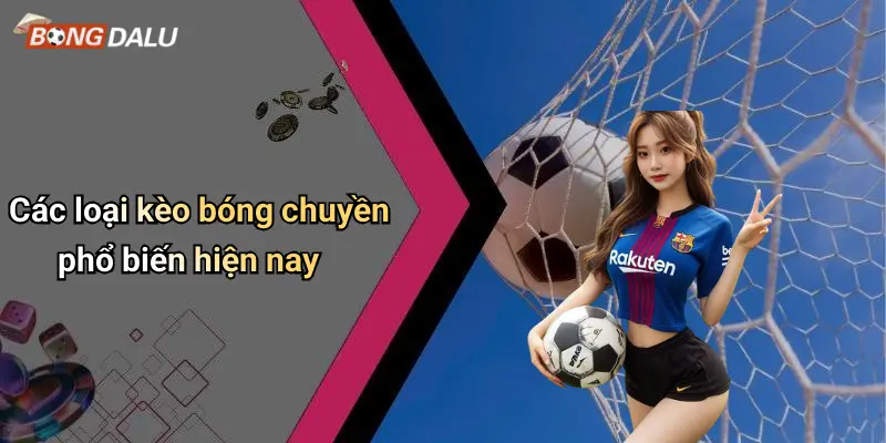 Các loại kèo bóng chuyền phổ biến hiện nay