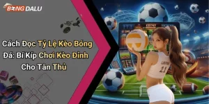 Cách Đọc Tỷ Lệ Kèo Bóng Đá: Bí Kíp Chơi Kèo Đỉnh Cho Tân Thủ