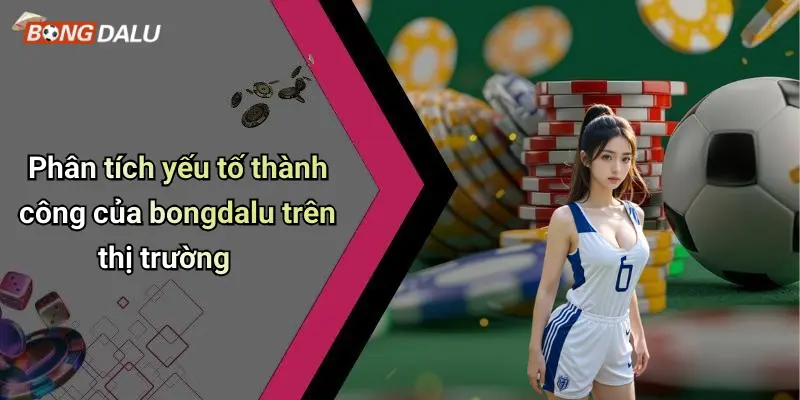 Phân tích yếu tố thành công của bongdalu trên thị trường