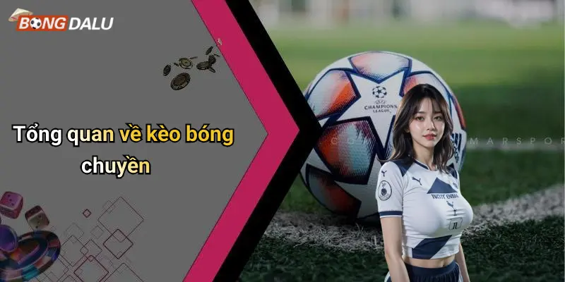 Tổng quan về kèo bóng chuyền