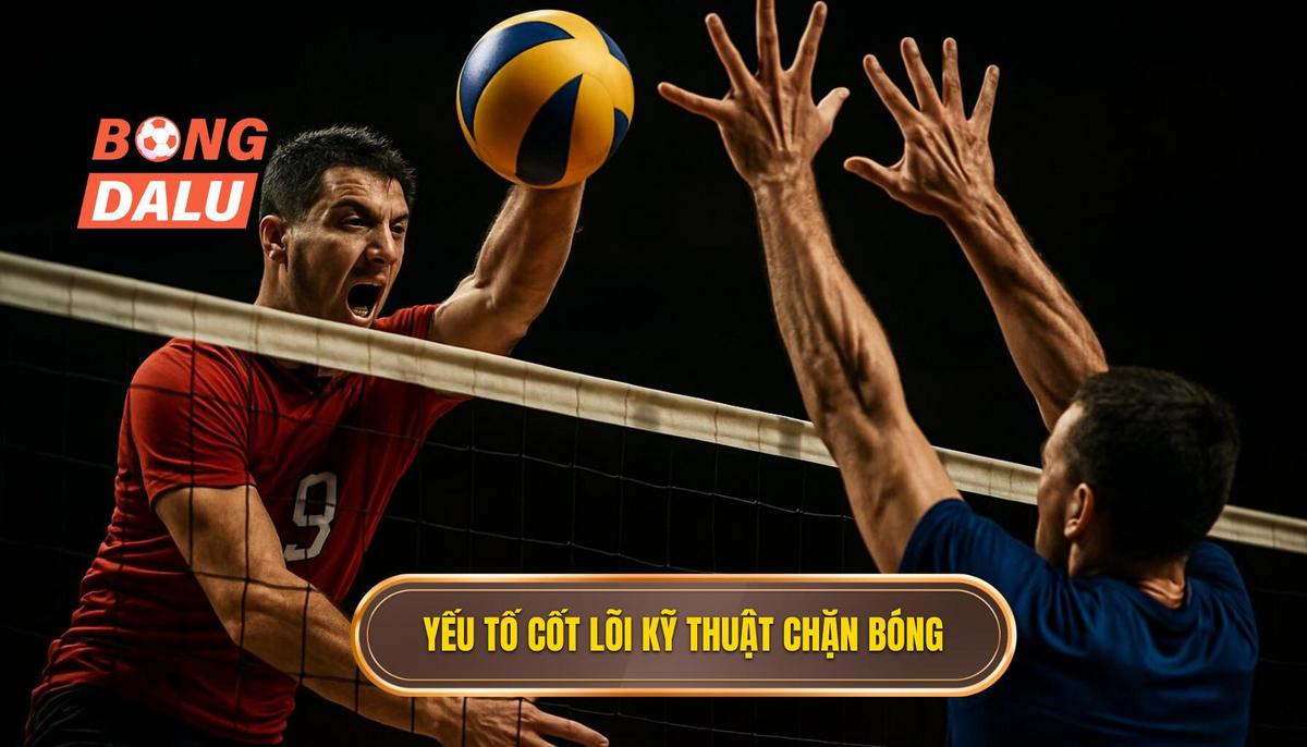 Các yếu tố cốt lõi tạo nên Kỹ thuật đánh chặn bóng hoàn hảo