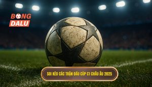 Soi kèo các trận đấu cúp C1 châu Âu 2025
