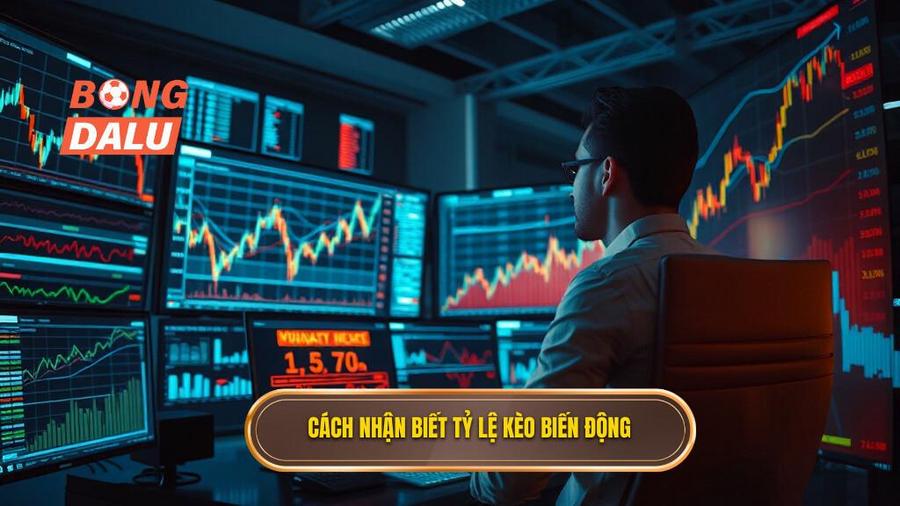 2. Cách nhận biết tỷ lệ kèo biến động
