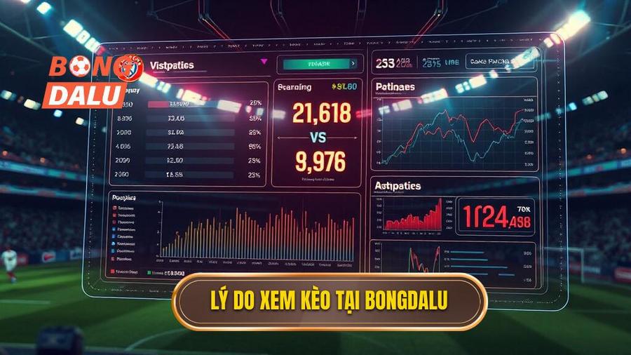 3. Lý do xem kèo tại BONGDALU
