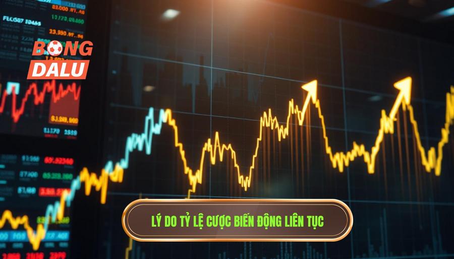 Lý do tỷ lệ cược biến động liên tục