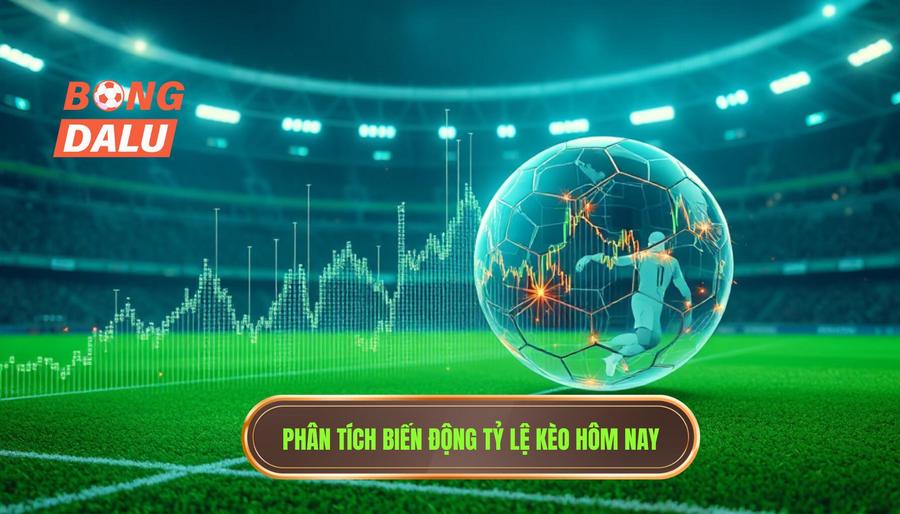 Phân tích biến động tỷ lệ kèo hôm nay