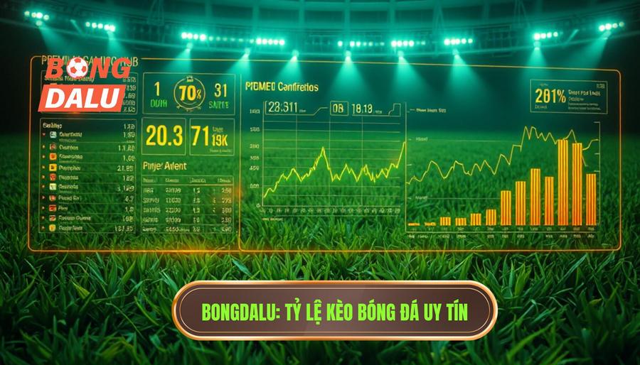 Bongdalu_ Tỷ lệ kèo bóng đá uy tín